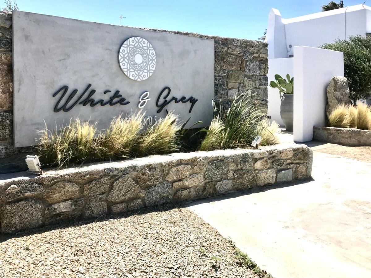 Appartement White And Grey 2 à Mykonos Town Extérieur photo