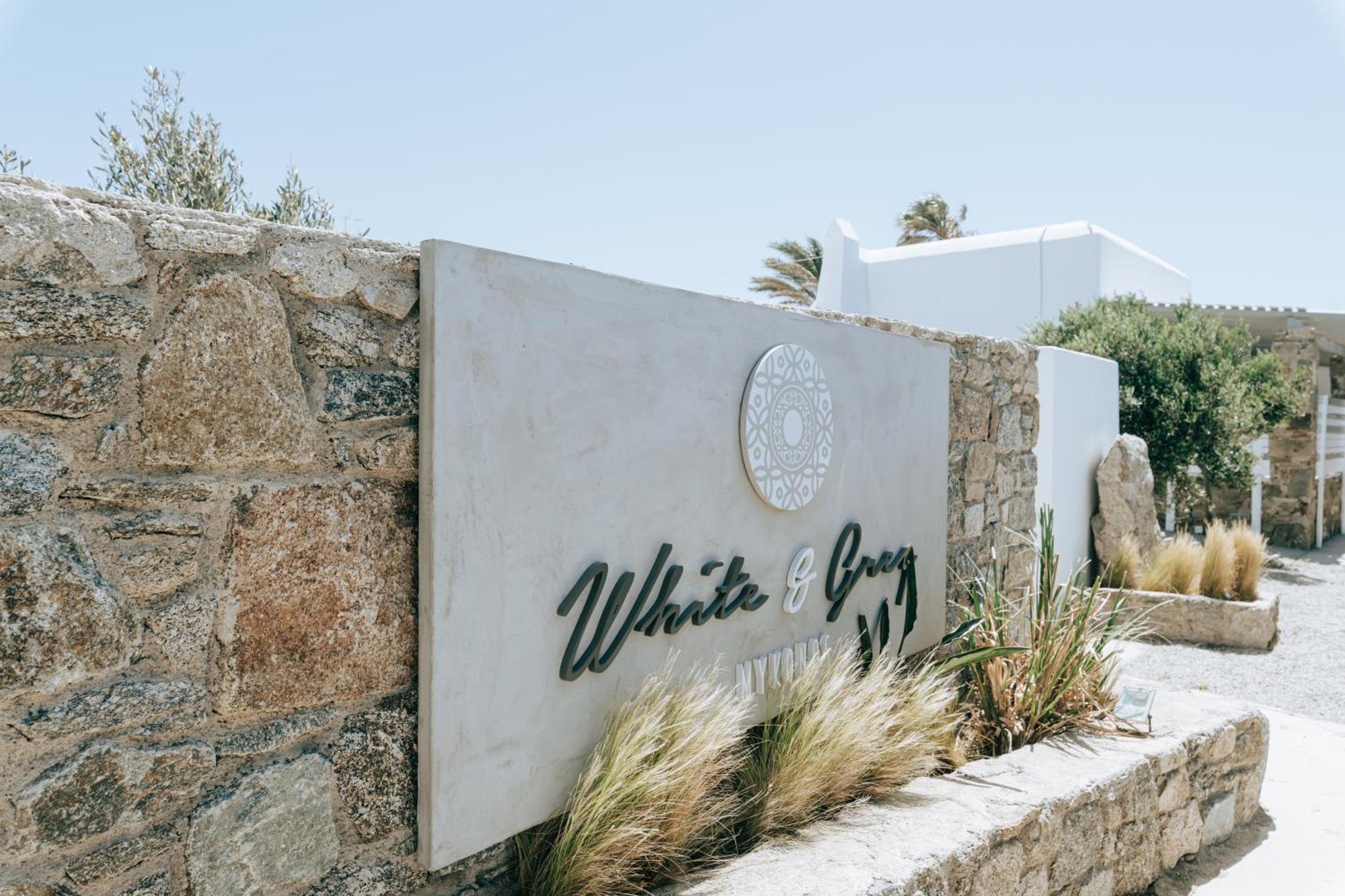 Appartement White And Grey 2 à Mykonos Town Extérieur photo