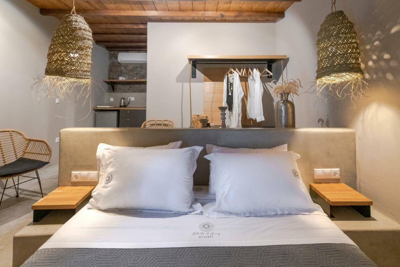 Appartement White And Grey 2 à Mykonos Town Extérieur photo